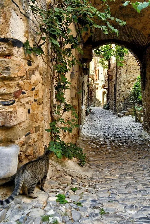 Ca De Rossana Bed&Breakfast Sanremo